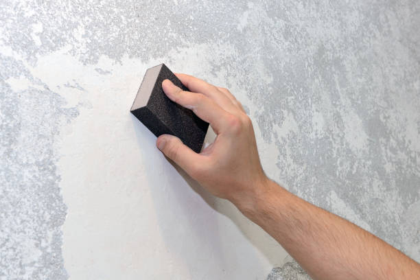 Best Dehumidification Services  in Stevenson, WA