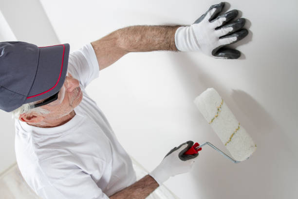 Best Mold Removal for HVAC Installations  in Stevenson, WA
