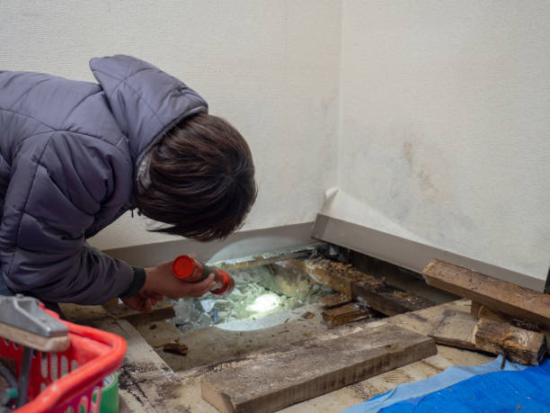 Asbestos and Lead Testing During Mold Inspection in Stevenson, WA