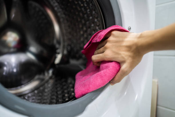 Best Mold Odor Removal Services  in Stevenson, WA