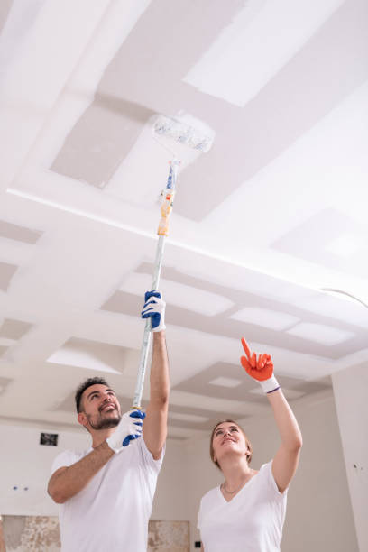 Best Industrial Mold Remediation  in Stevenson, WA