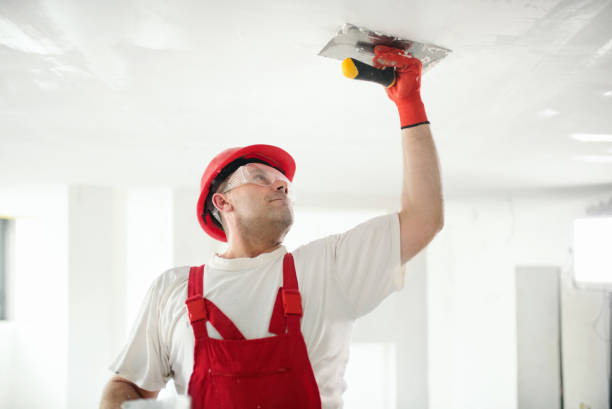 Mold Remediation for Rental Properties in Stevenson, WA