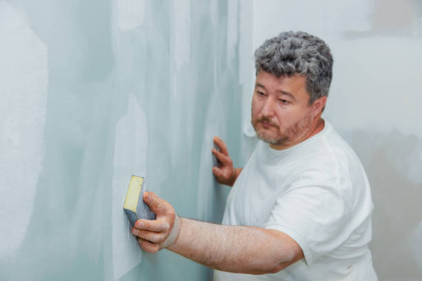 Best Mold Damage Restoration  in Stevenson, WA