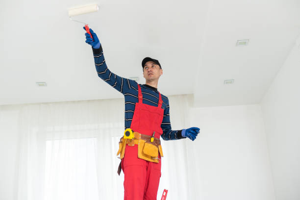 Best Water Damage & Mold Remediation  in Stevenson, WA