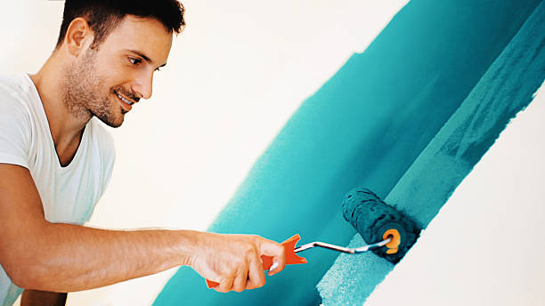 Best Post-Construction Mold Inspection  in Stevenson, WA