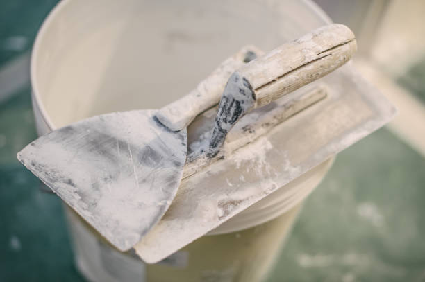 Best Biohazard Mold Removal  in Stevenson, WA